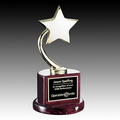 Evandale Star Trophy Award